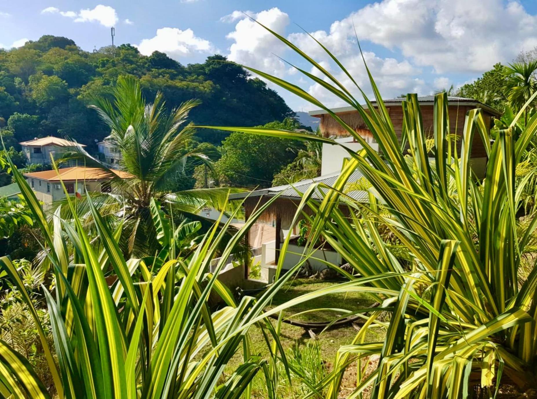 Cocotier, Elegant T3 Avec Jardin Tropical Sainte-Anne Exterior foto